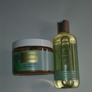 Bath & Body Works Eucalyptus Spearmint Body Wash & Sugar Scrub in Green